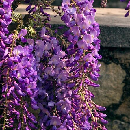 Il Glicine B&B Ristorante Cazzago San Martino Bagian luar foto