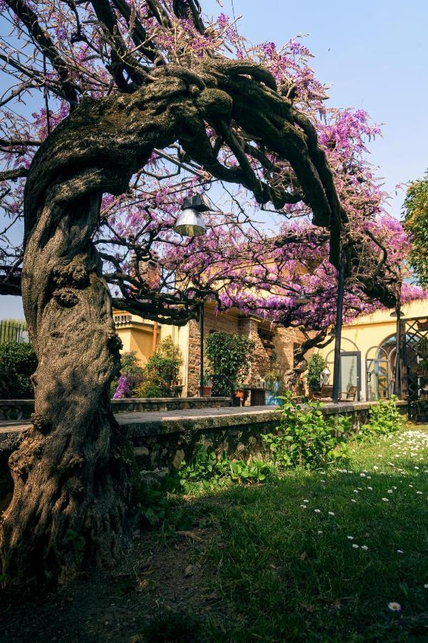 Il Glicine B&B Ristorante Cazzago San Martino Bagian luar foto