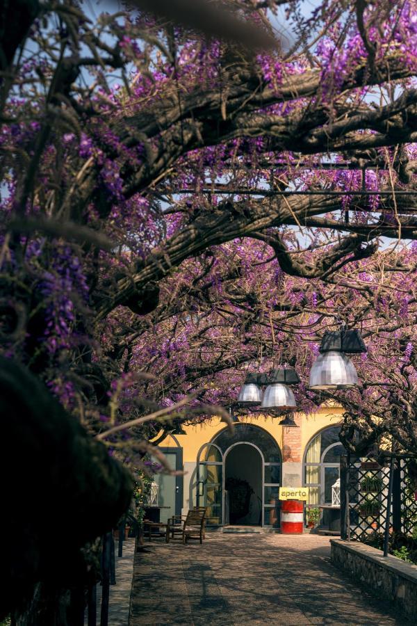 Il Glicine B&B Ristorante Cazzago San Martino Bagian luar foto