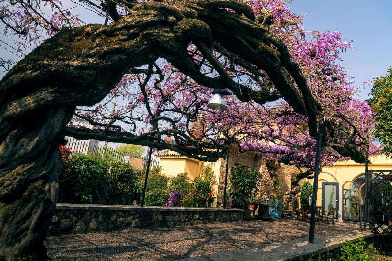 Il Glicine B&B Ristorante Cazzago San Martino Bagian luar foto