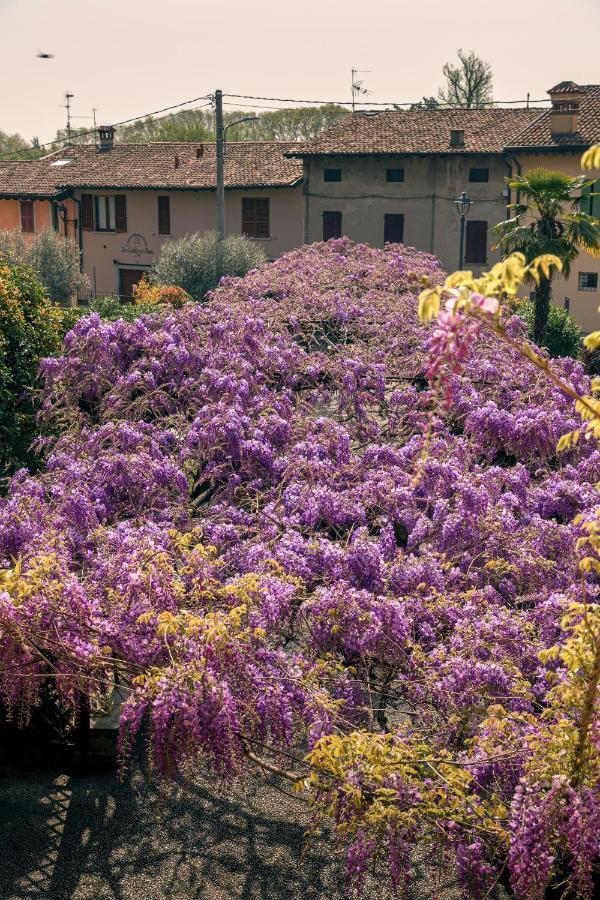 Il Glicine B&B Ristorante Cazzago San Martino Bagian luar foto