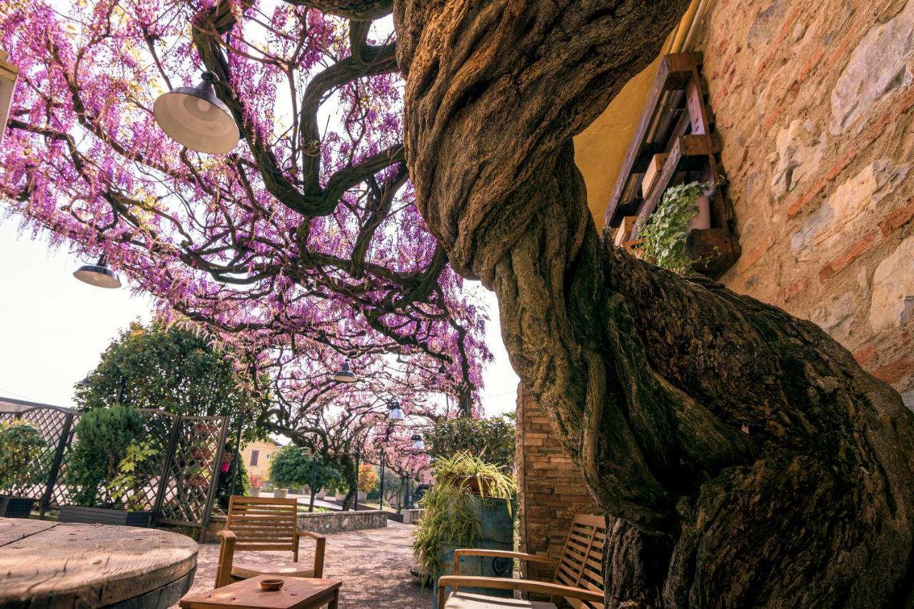 Il Glicine B&B Ristorante Cazzago San Martino Bagian luar foto