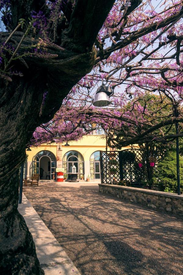Il Glicine B&B Ristorante Cazzago San Martino Bagian luar foto
