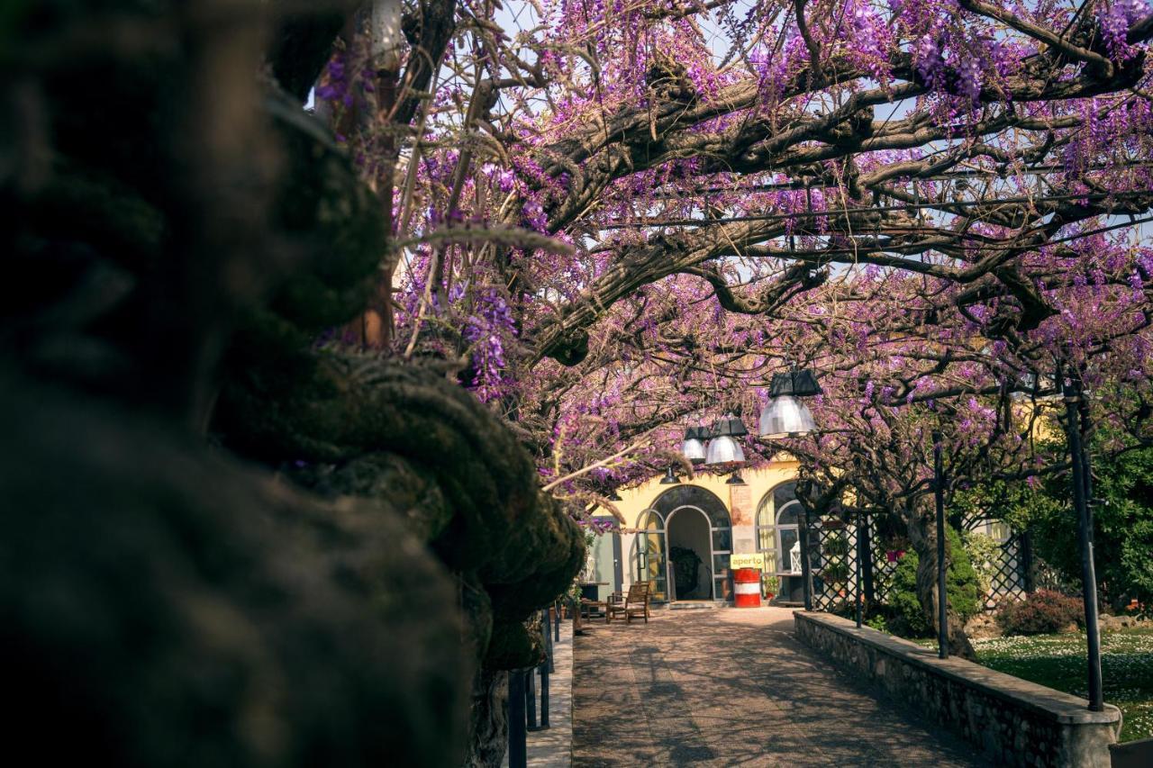 Il Glicine B&B Ristorante Cazzago San Martino Bagian luar foto