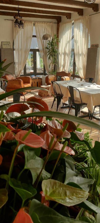 Il Glicine B&B Ristorante Cazzago San Martino Bagian luar foto